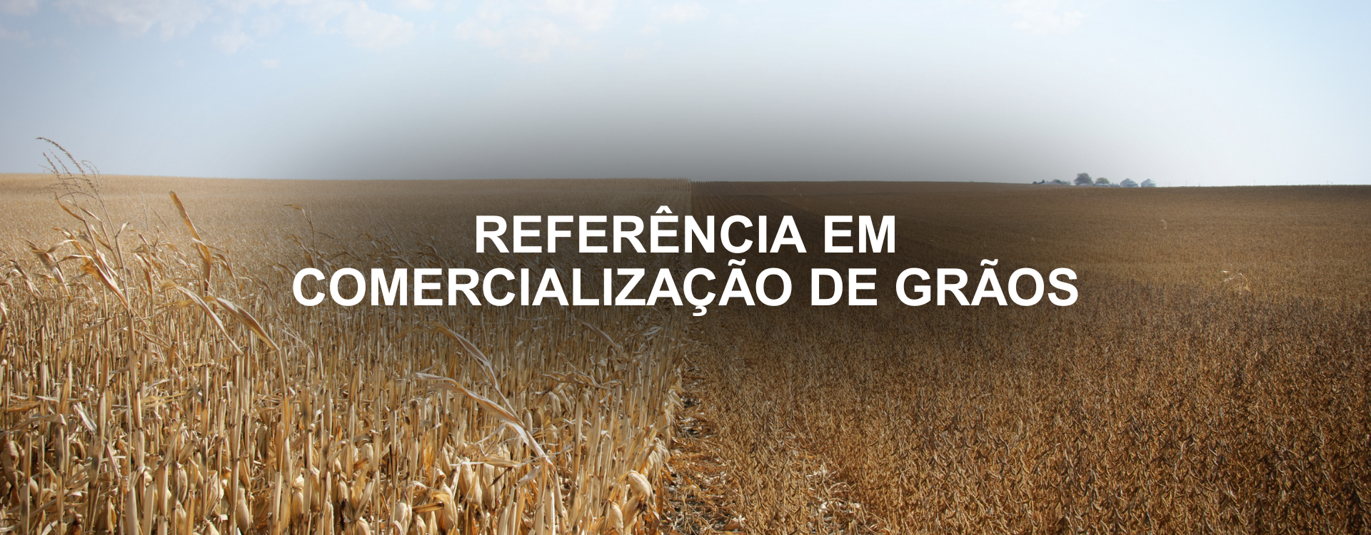 Banner Novo 2